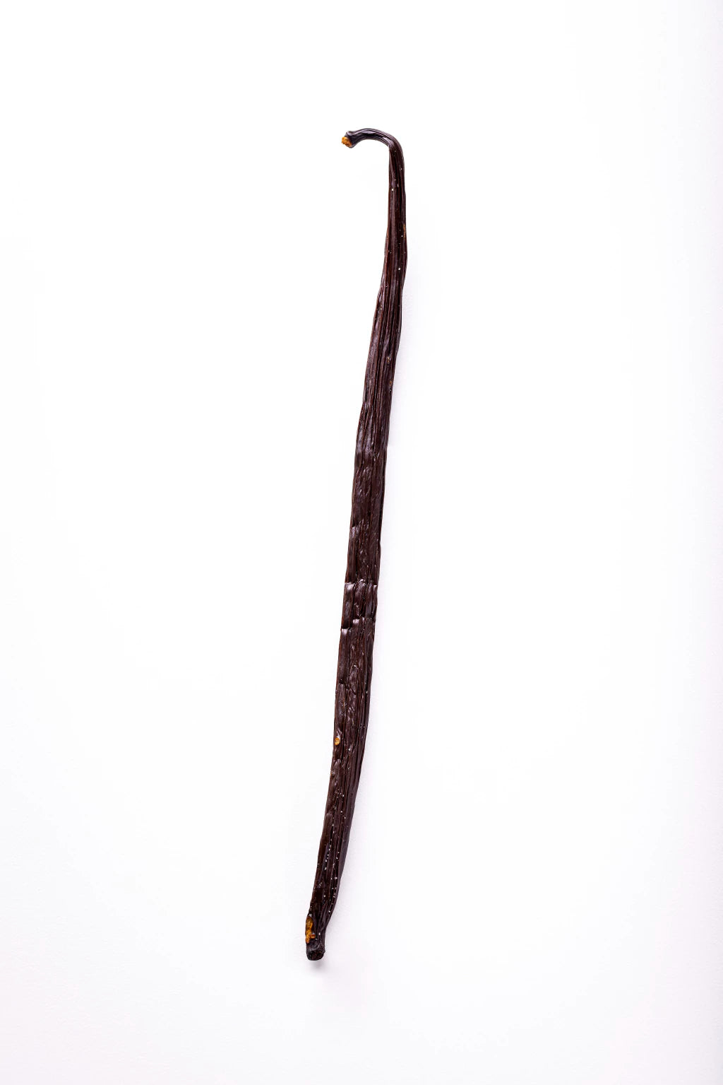 Fava de Baunilha – Vanilla planifolia – Madagascar