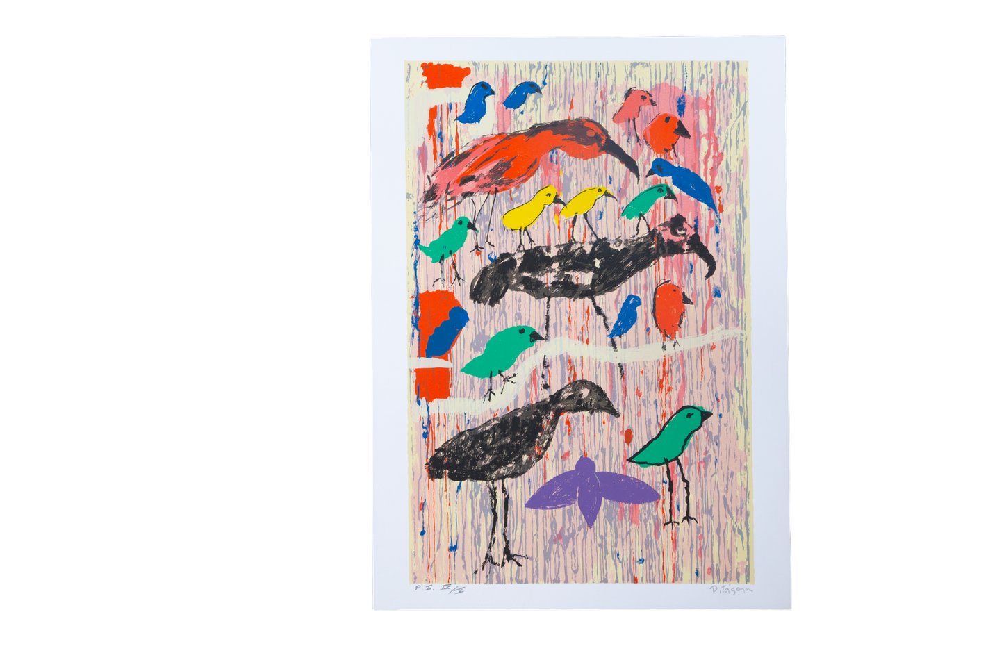 Passaros Coloridos - Pitagoras Gonçalves