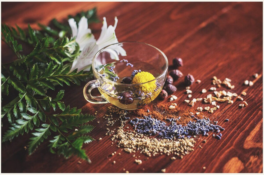 Herbal Teas: Natural Remedies for Common Ailments